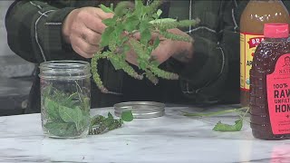 Eating the Ozarks Oxymel Tulsi [upl. by Dulciana91]