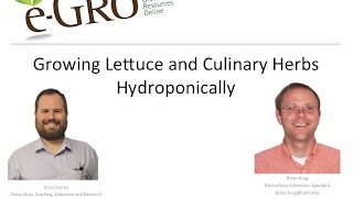 eGRO Webinar  Growing Lettuce and Culinary Herbs Hydroponically [upl. by Eilsil]