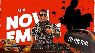 Mix Noviembre 2024  Dj Radical 🔥 🎶  Lo Más Sonado en Reggaetón Electrónica  Moombahton y Hits [upl. by Eniamirt]