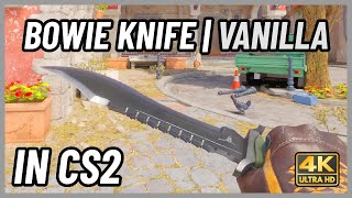 ★ CS2 Bowie Knife Vanilla  CS2 Knife InGame Showcase 4K [upl. by Gilleod]