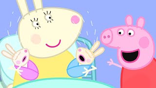 Peppa Pig English Episodes  Robbie and Rosie Rabbit Peppa Pig Official [upl. by Ahtoelc939]