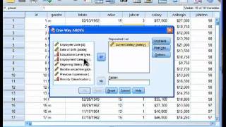 Oneway ANOVA  SPSS part 1 [upl. by Mlawsky]