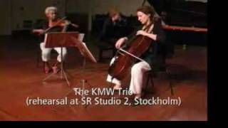 The KMW Trio Ylva Skog Piano Trio [upl. by Blatt]