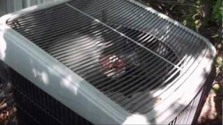 2000 Tempstar 5ton heat pump running in COOL mode [upl. by Liagiba]