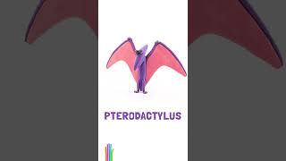 Meet Mr Mystery  the charming Pterodactylus [upl. by Yard]