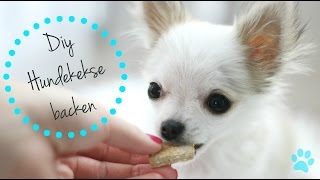 DIY HUNDEKEKSE BACKEN  FRUITCRUNCHIES 🍌🍏🍪 [upl. by Oler]