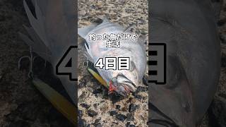 釣った魚だけで生活4日目 shorts 魚 釣り 魚釣り 料理 [upl. by Namrac]