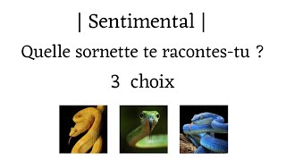 Sentimental  Quelle sornette te racontestu 3 choix [upl. by Kamp]