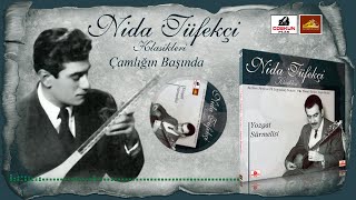 Nida Tüfekçi  Çamlığın Başında 1963 [upl. by Fregger]