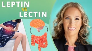 The Difference Between Leptin vs Lectin  Dr J9 Live [upl. by Raffo]