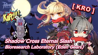 KRO Shadow Cross Eternal Slash DPS Bioresearch lab but Eden [upl. by Omik995]