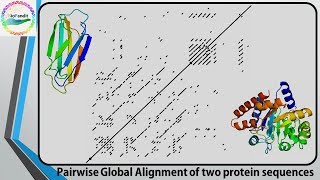 Comparing two Sequences using Dot Plot [upl. by Ajim754]