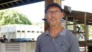 Bell Wine Cellars Harvest Update with Winemaker John Hazak [upl. by Iam843]