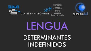 Los determinantes indefinidos  Lengua Española análisis morfológico  academia JAF [upl. by Vescuso838]