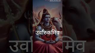 Shiv Tandav viralinstagramvideo trending bol bam status viral reels video [upl. by Paske]