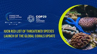 COP29  IUCN Red List of Threatened Species Launch of the Global Corals Update [upl. by Sharon]