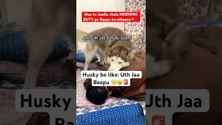 My husky’s morning routine Uth jaa Pawpa🤦‍♂️🤣🚨 funnyhusky dogdad doglovers [upl. by Matthaeus280]