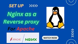 Setup Nginx as a Reverse proxy for Apache  Nginx  Apache  Linux  RHEL 9 [upl. by Kevon]