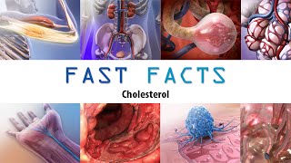 Cholesterol Visible Body Fast Facts [upl. by Calendre599]