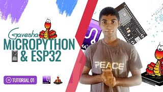 How To Programming Esp32 us Micropython  Lessons 01 What is Micropython [upl. by Kai]