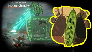 Koroks can low diff EVERY enemy in TotK [upl. by Volding166]