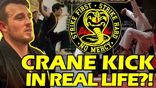 Does the CRANE KICK Actually Work Cobra Kai  Karate Kid Breakdown [upl. by Adnorat]