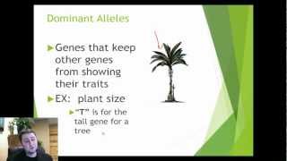 Introduction to Genetic Crosses [upl. by Reahard280]