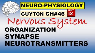 Ch46 Physiology Guyton  Neurophysiology  Organization  Synapses  Neurotransmitters [upl. by Llehsam116]