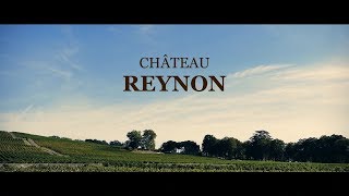 Vendanges 2018 Château Reynon [upl. by Lefton]