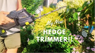 Trimming Sunshine Ligustrum With My New Cordless Hedge Trimmer [upl. by Sivahc]