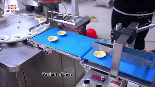 Full Automatic Egg Tart Shell Making Tartlet Crust Apple Pie Press Machine [upl. by Yrro]