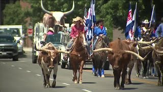 Greeley Stampede starts today with Longhorn Parade [upl. by Yort]