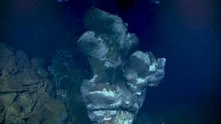 Hot Stuff Exploring a Hydrothermal Vent [upl. by Arihas]