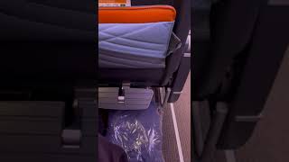 Premium economy on Singapore Airlines [upl. by Halimak]