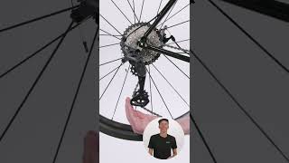 Whats the difference between the pulleys on your derailleur [upl. by Nnhoj]