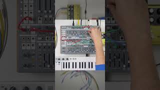 Cascadia patching with Sample amp Hold intellijel eurorack modularsynth [upl. by Aihtiekal]