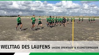 Zum Welttag des Laufens  Unsere Sprintasse amp Kilometerfresser [upl. by Elva]