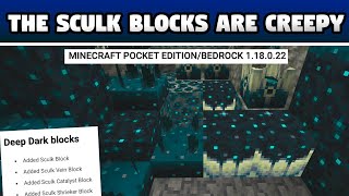 Minecraft SCULK BLOCKS ARE HERE DEEP DARK CITY FEATURES 118022 [upl. by Fafa]