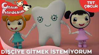 Canım Kardeşim  Dişçiye Gitmek İstemiyorum [upl. by Rebma]