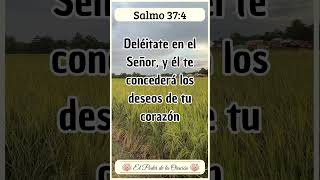 Mensaje Bíblico de hoy Salmo 374 Fe VersiculoDeLaBiblia TextosBiblicos EstudioBiblico [upl. by Oiracam907]