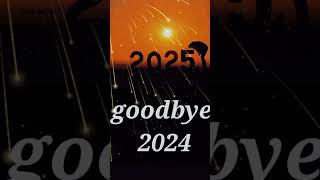 goodbye 2024 [upl. by Eveneg]