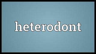 Heterodont Meaning [upl. by Newg]