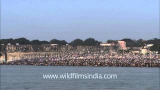 People taking holy bath on the auspicious day of Makar Sankranti [upl. by Thorbert730]