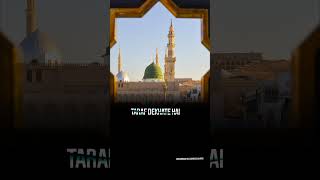 Naat Sharif By Sayyed Abdul Wasi shorts [upl. by Akcimat]