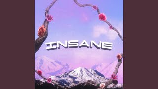 Insane [upl. by Naxela]