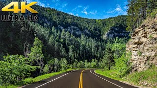 Colorado Rocky Mountain Scenic Drive on Grand Mesa Scenic Byway 4K [upl. by Annahs]