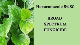 Hexaconazole 5SCBroad Spectrum Systemic Fungicide [upl. by Annelak624]