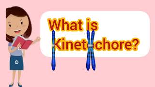 WHAT IS KINETOCHORE [upl. by Bradford]