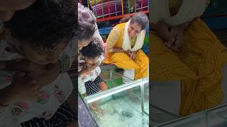 NR Fish Spa besant nagar beach and kovilambakkam 995208554 fishfootspa cutebaby ytshorts fish [upl. by Etteoj991]