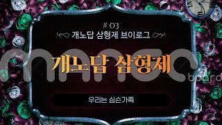 entp infp 브이로그 개노답 삼형제 브이로그 3편 [upl. by Enivid]